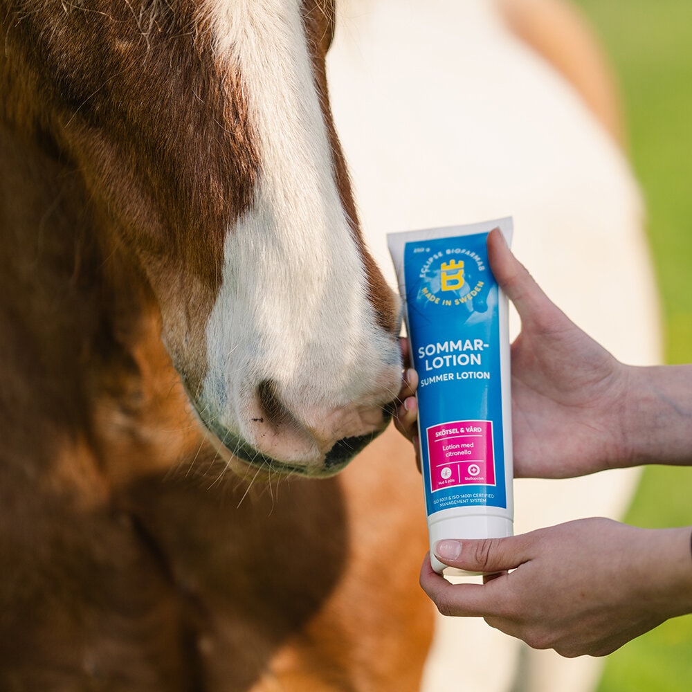 Summer lotion