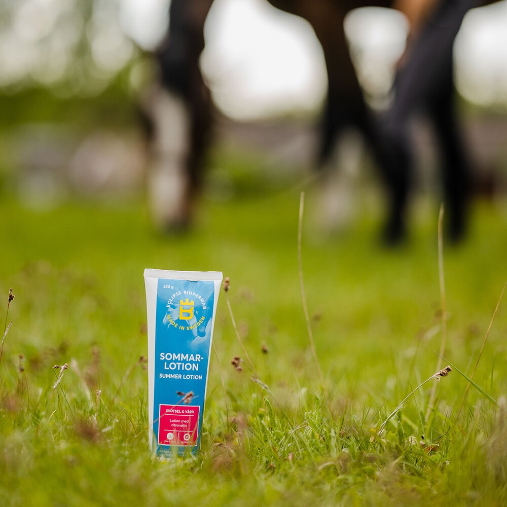 Summer lotion