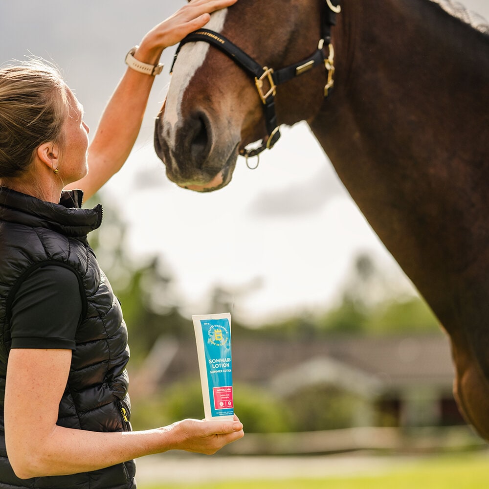 Summer lotion
