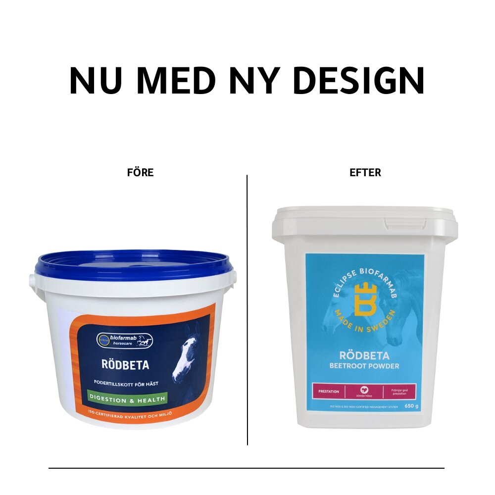 Rödbeta
